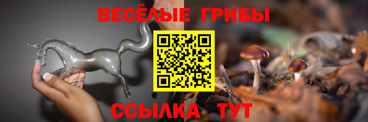 Псилоцибиновые грибы Cubensis  Псилоцибиновые грибы Magic Shrooms  Вход с VPN  Ипатово 